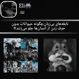 کاور
