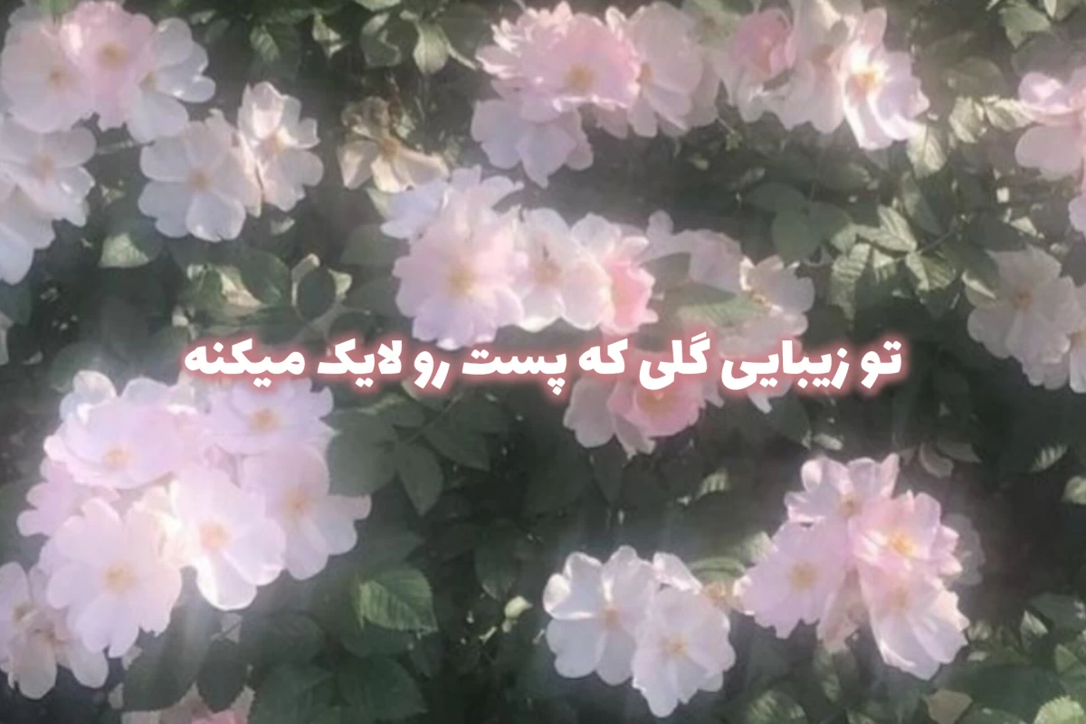 عکس هر X ای زیباست