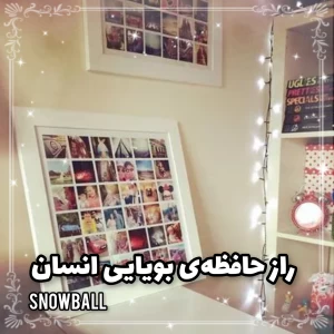 کاور