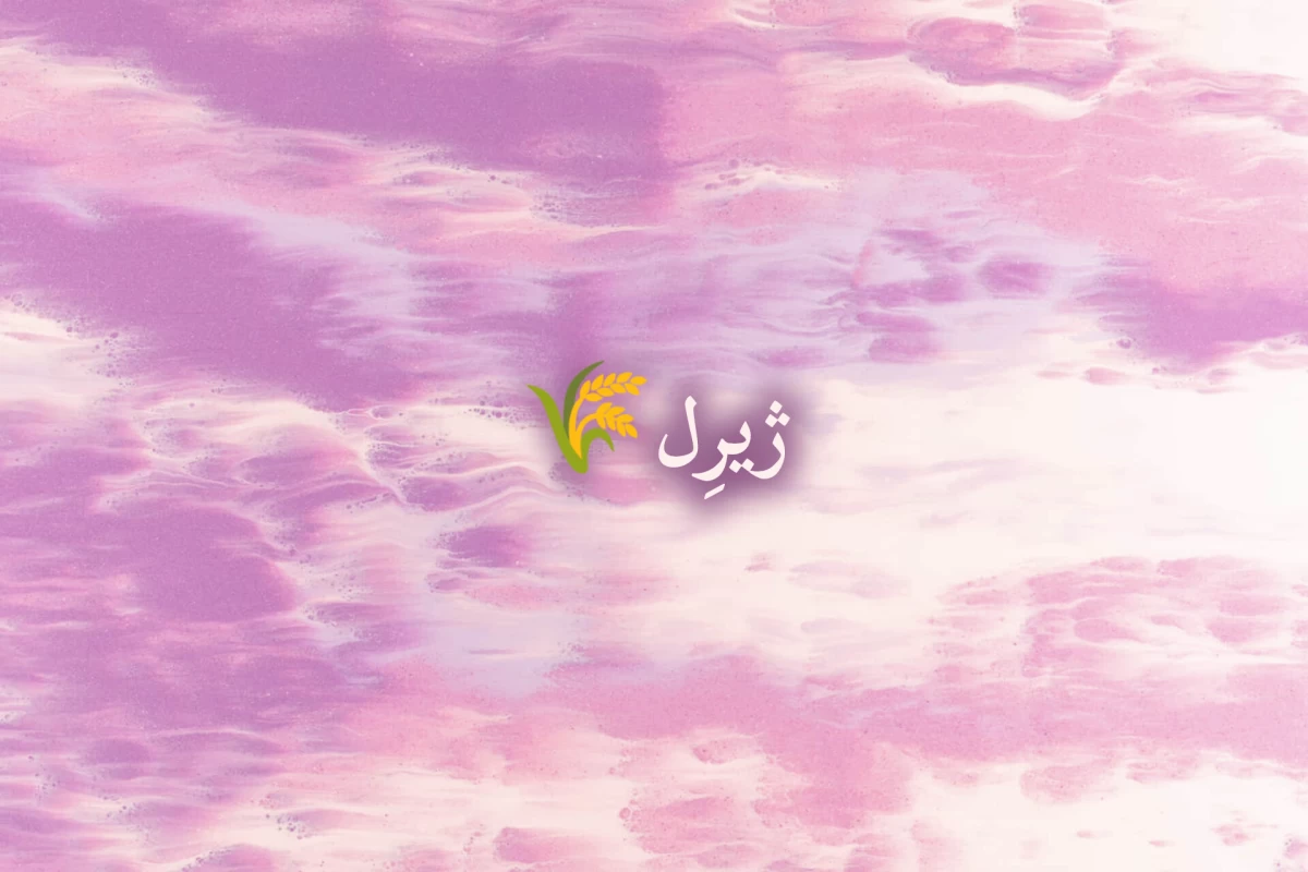 عکس دوستت دارم مثل X (موسیقی ایرانی)
