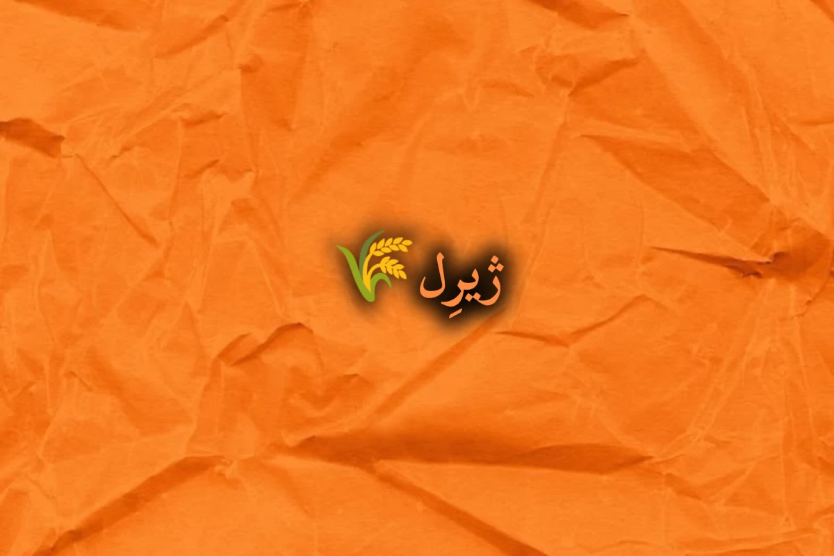 عکس سرتو بالا بگیر! (یوتیوب ورژن)