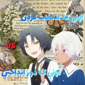 کاور
