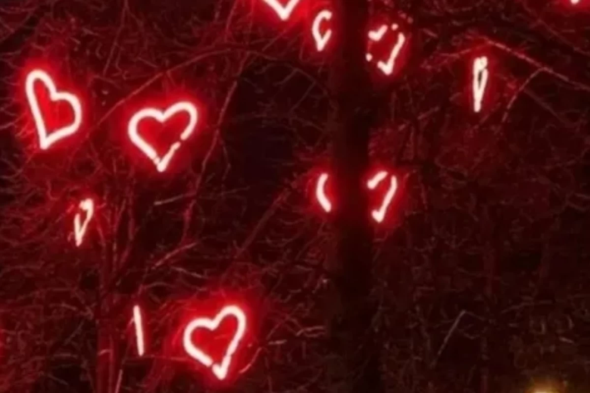 عکس میم انیمه ۳