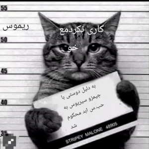 کاور