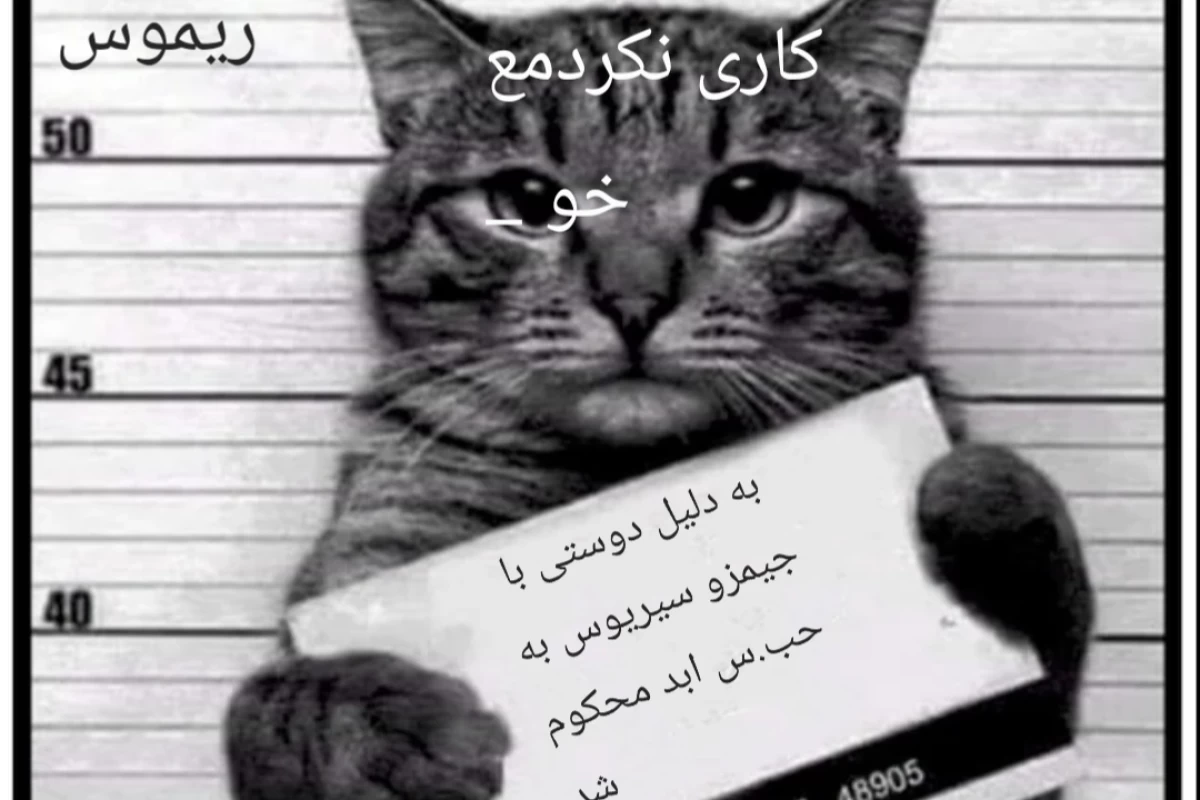 عکس میم ورژن مارادرز ۲