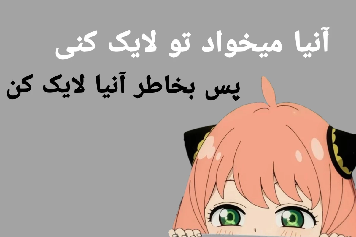 عکس ⭐️:پلی‌لیست آزولا