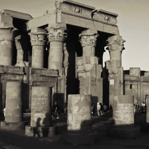 کاور