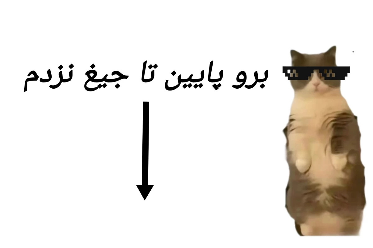 عکس عه کاربر جدید میبینم ناراحتی.؟(تستچی 𝕍𝔼ℝ) شاید فان