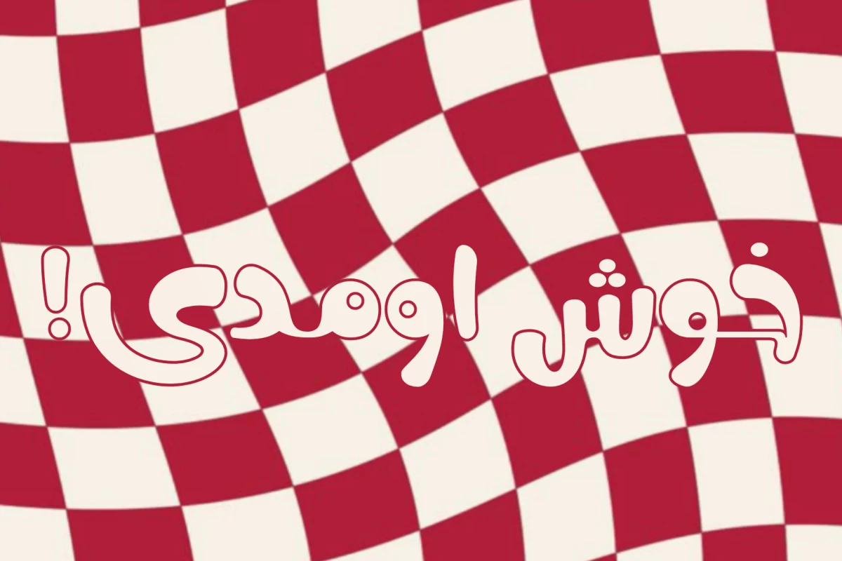 عکس این منطق منه!(فان)