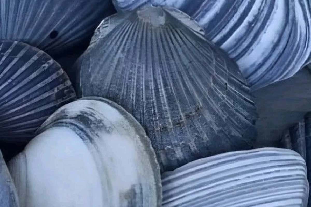 عکس 🌊 : تاریخچه رنگ آبی .