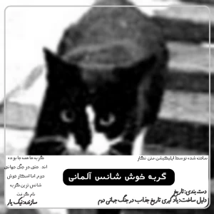 کاور