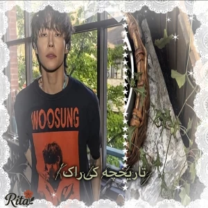کاور