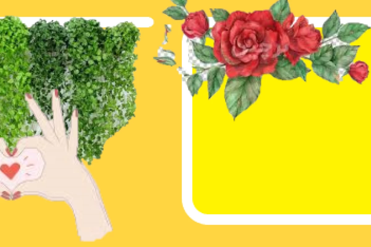 عکس میم میراکلس با مرینت