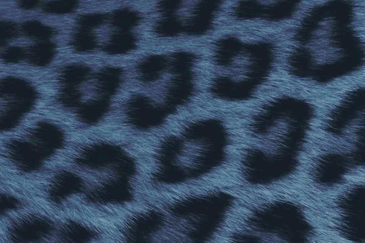 عکس 𝘋𝘦𝘭𝘢𝘯𝘤𝘺