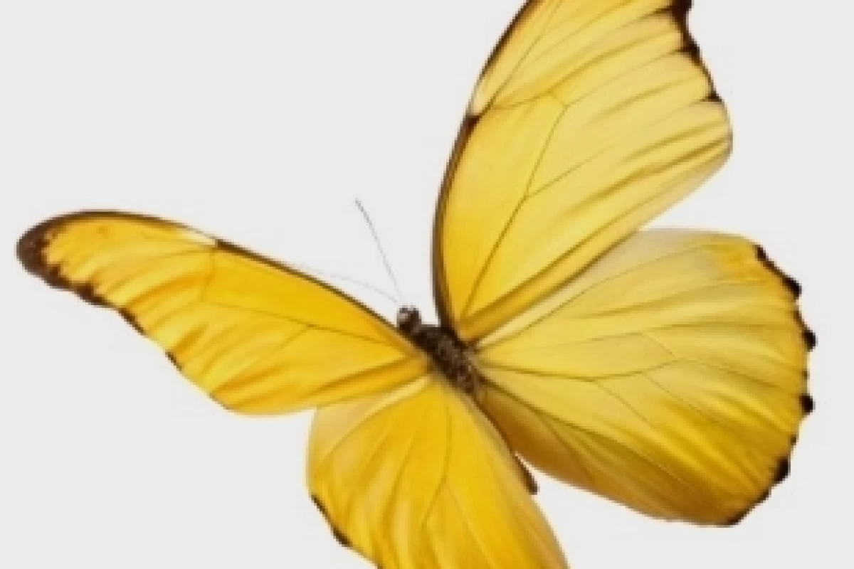 عکس 🀄آره تو راست میگی
