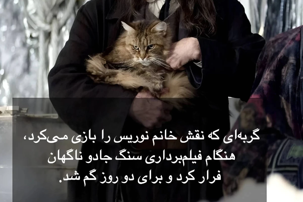 عکس فکت هری پاتر