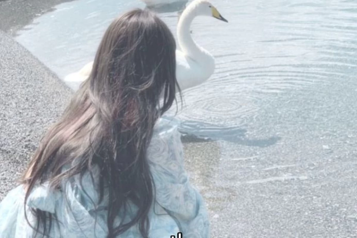 عکس 𝑳𝒆𝒐𝒏𝒂`