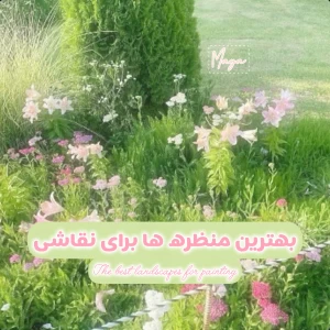 کاور