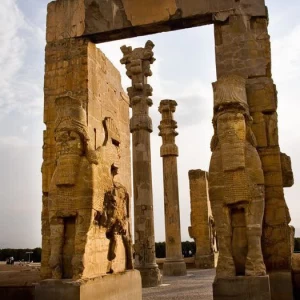 کاور