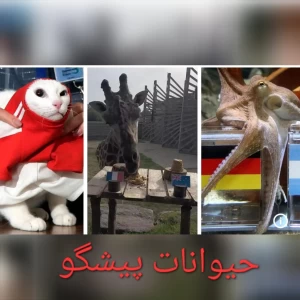 کاور