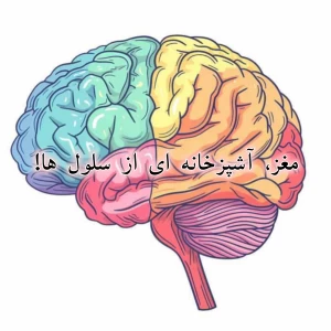 کاور