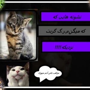 کاور