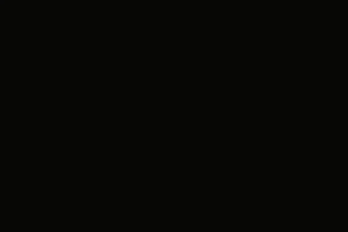 عکس ـ آیدل‌ها به عنوان visual hole