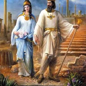 کاور
