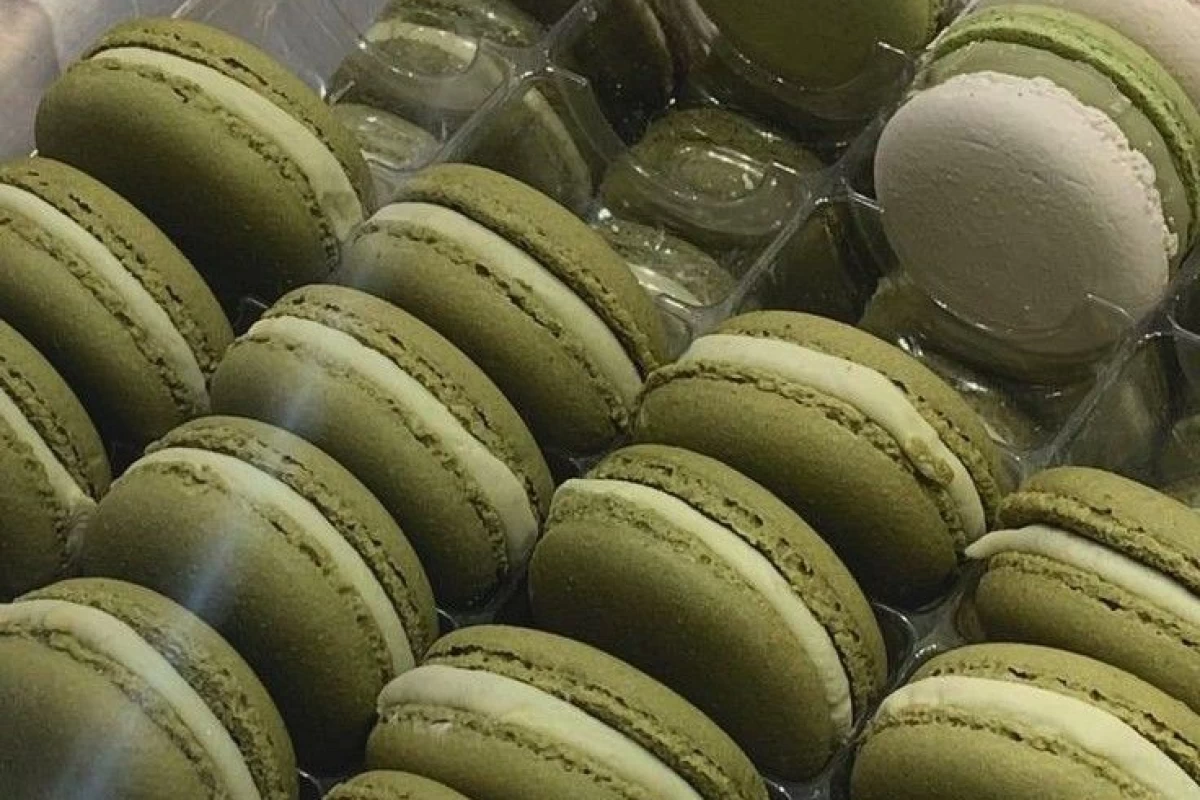 عکس ☆ : دوستی با ادمای بزرگتر؟