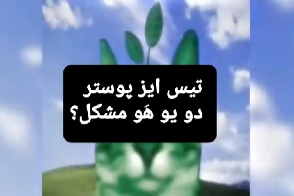 عکس ویروسی واگیر دار به نام ترند!