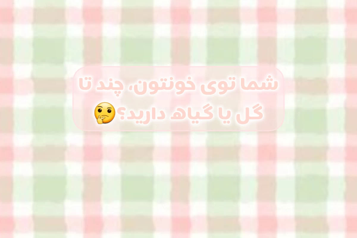 عکس روش های صحیح نگهداری هر گل
