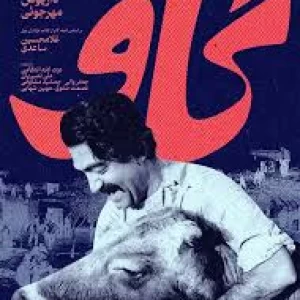 کاور