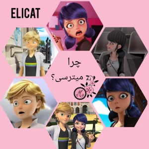 کاور