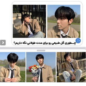 کاور
