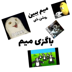 عکس باگزی میم