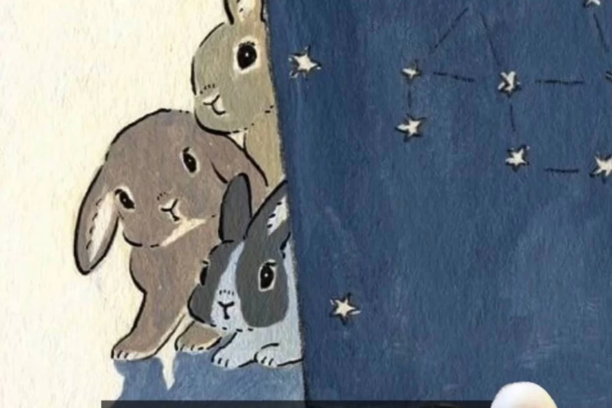عکس فکت از خرگوش 🐇