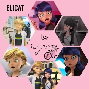 کاور