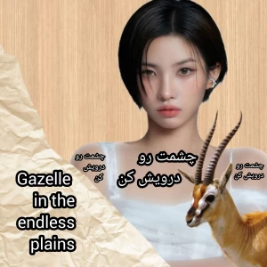 کاور