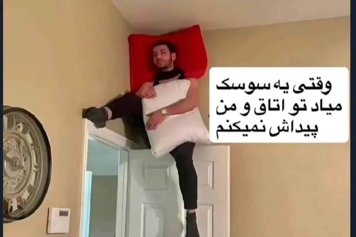 عکس میم دونی