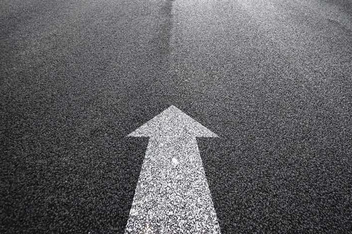 عکس قدرت اجبار:وقتی فرار ممکن نیست!