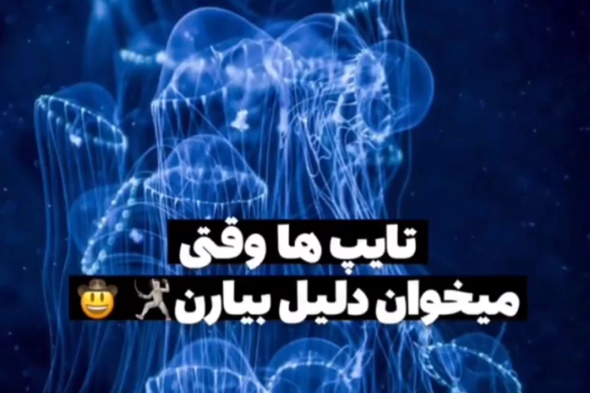 عکس تایپ ها وقتی می خواهند دلیل بیاورند: