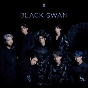عکس تئوری اهنگ black swan?