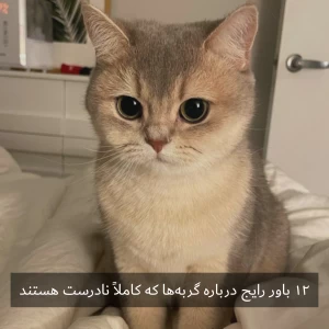کاور