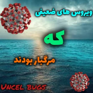 کاور