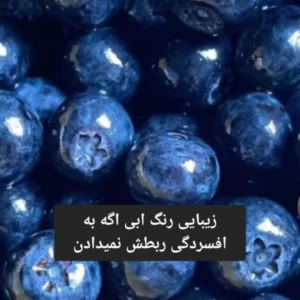 کاور