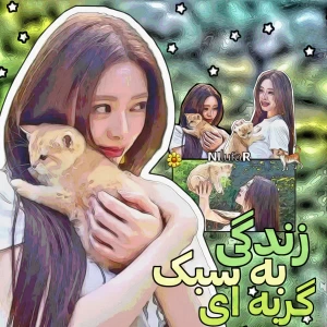 کاور