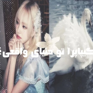 کاور