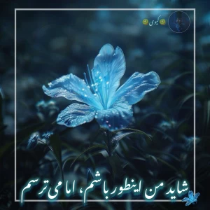 کاور