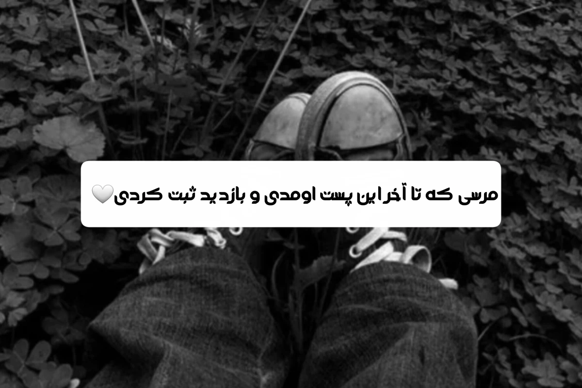عکس آماری جالب از ماه های سال؛