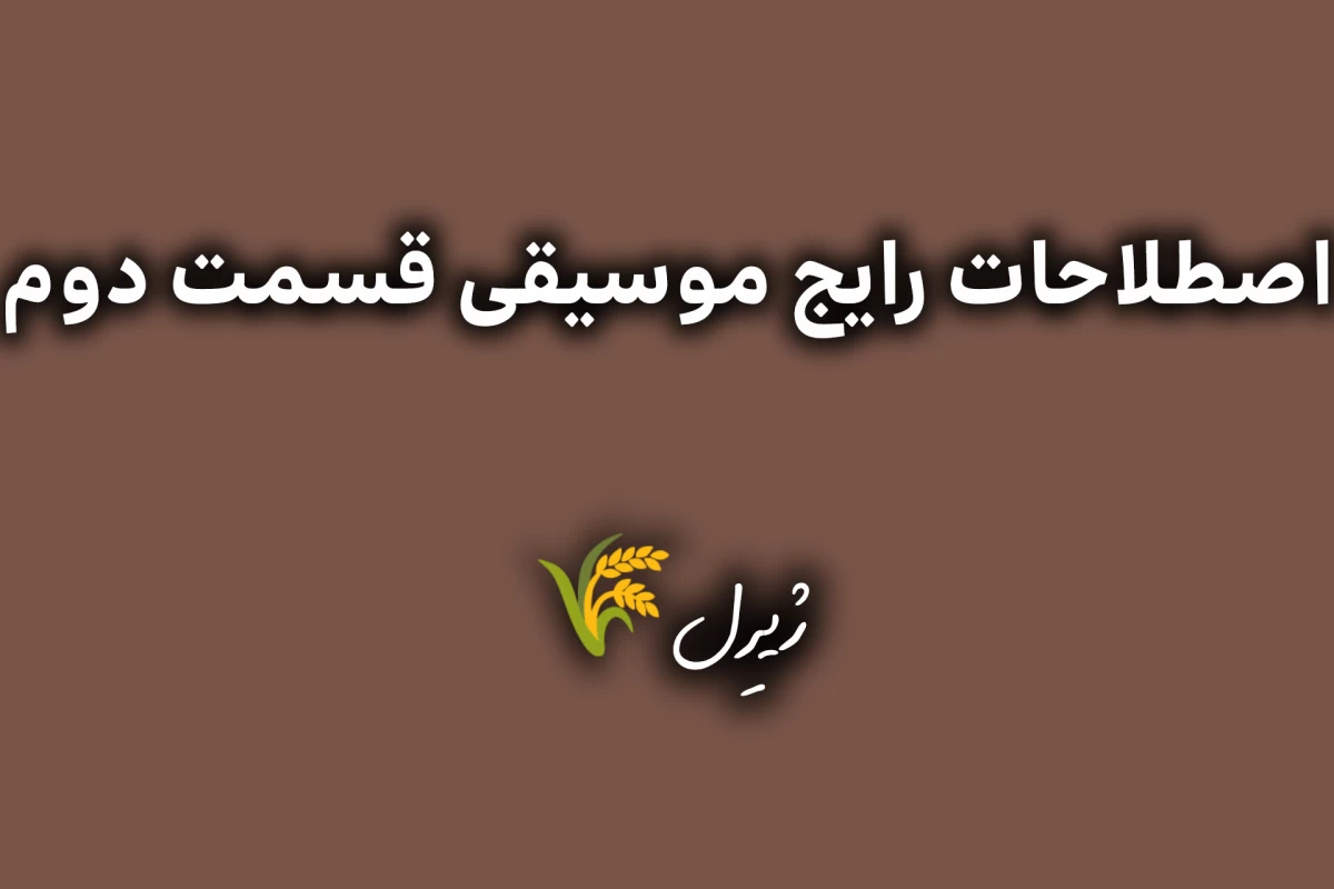 عکس اصطلاحات رایج موسیقی p2